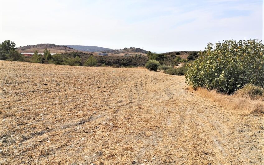 Land in Monagroulli for sale