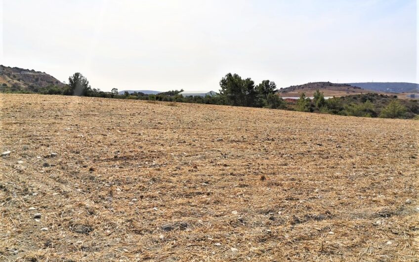 Residential Land for professional development in Monagroulli, Limassol (Plan for 20-Plots)