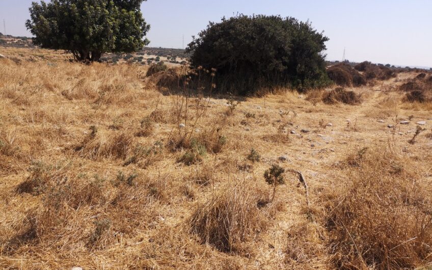 Large Industrial Plot of Land for sale in Ayios Sylas