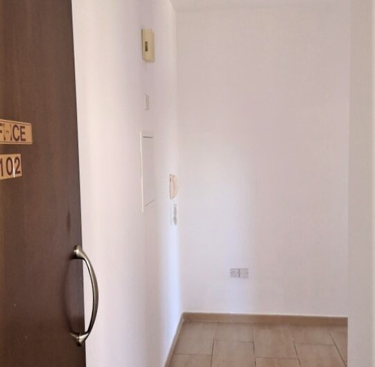 One Bedroom Apartment in Miltonos Street for Rent