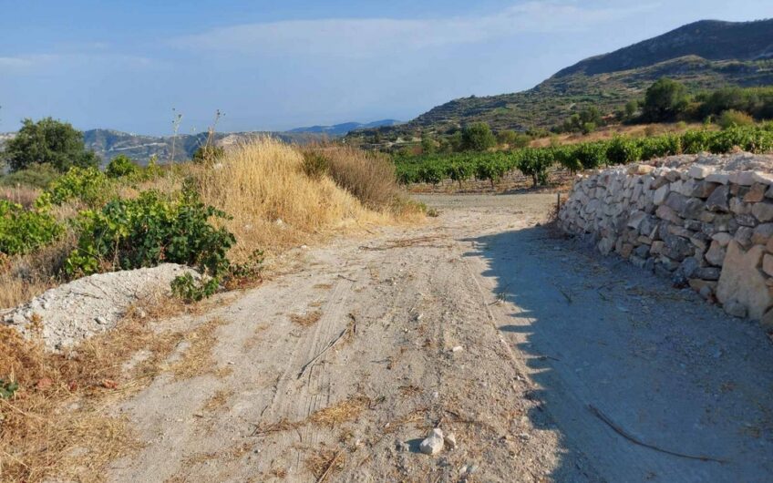 Large piece of land in Ayios Mamas, Limassol – Adjacent to the road