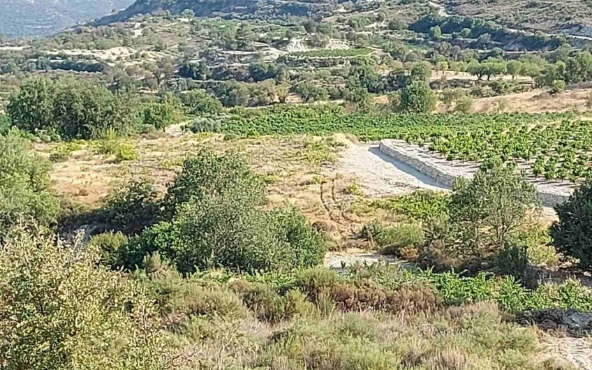 Large piece of land in Ayios Mamas, Limassol – Adjacent to the road