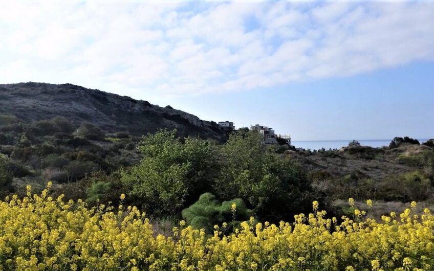 Tourist Land for Sale Suitable for Development in Agios Tychonas