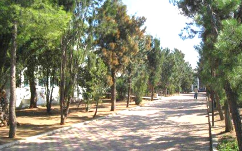 Private School Building Complex for Sale in Attica Greece